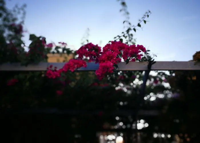 Hotel Santa Caterina 3*